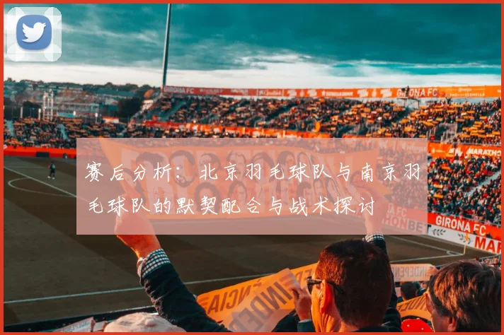 赛后分析：北京羽毛球队与南京羽毛球队的默契配合与战术探讨