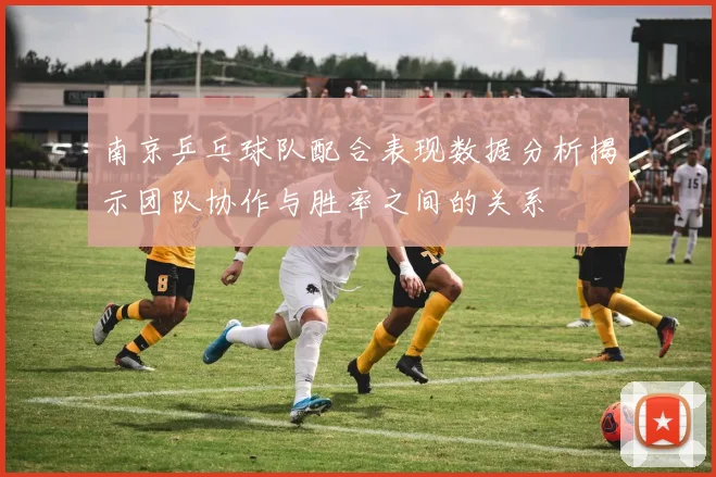 南京乒乓球队配合表现数据分析揭示团队协作与胜率之间的关系