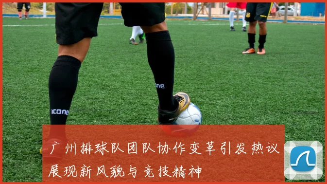 广州排球队团队协作变革引发热议展现新风貌与竞技精神