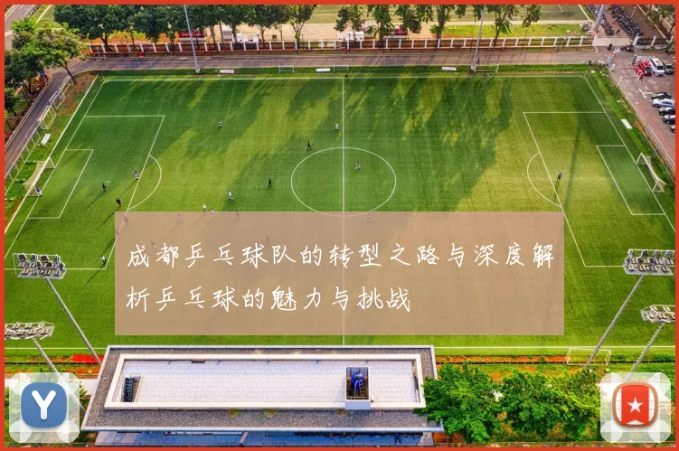 成都乒乓球队的转型之路与深度解析乒乓球的魅力与挑战