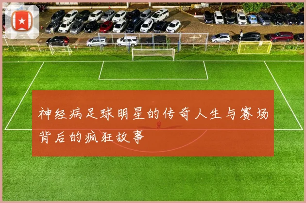 神经病足球明星的传奇人生与赛场背后的疯狂故事