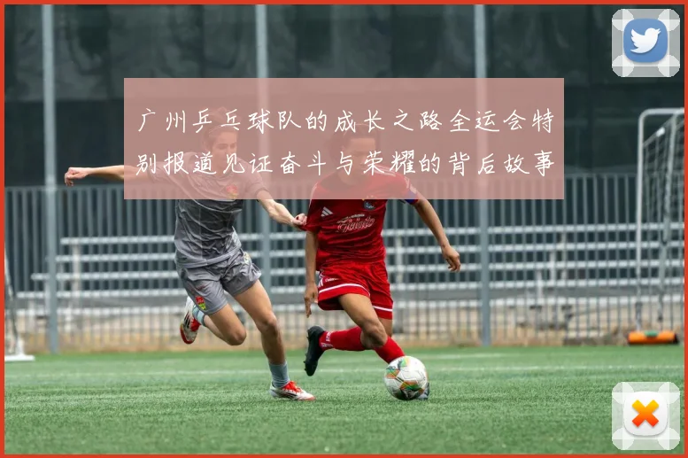 广州乒乓球队的成长之路全运会特别报道见证奋斗与荣耀的背后故事