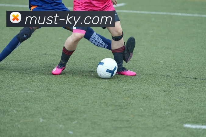 Kaiyun.com发展历程